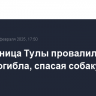 Жительница Тулы провалилась под лед и погибла, спасая собаку