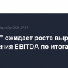 "СИБУР" ожидает роста выручки и сохранения EBITDA по итогам 2024 года