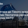 "От Балтики до Тихого океана". Аналитик Пентагона рассказал об угрозах НАТО