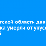 В Иркутской области два человека умерли от укусов клещей