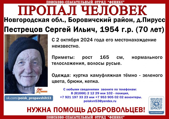 В Боровичском районе идут поиски 70-летнего мужчины