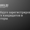 В Петербурге зарегистрировали ещё двух кандидатов в губернаторы...