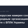 МИД Белоруссии намерен сообщить международным организациям об инциденте с БПЛА Украины