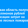 Иркутская область получит 578 миллионов рублей компенсации затрат на тушение лесных пожаров