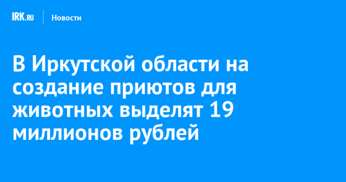 В Иркутской области на создание приютов для животных выделят 19 миллионов рублей