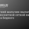 Трехлетний мальчик выпал из окна с москитной сеткой на улице Демьяна Бедного