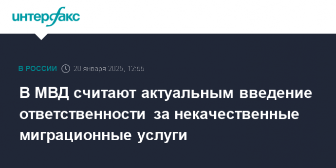 В МВД считают актуальным введение ответственности за некачественные миграционные услуги