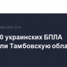 Более 10 украинских БПЛА атаковали Тамбовскую область