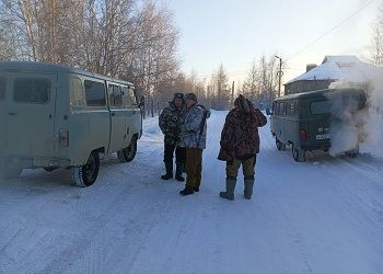 Волков, одолевавших поселок на севере Приамурья, отогнали