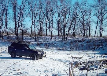 Амурчанка заплатит двойной штраф за сброс отходов с авто