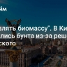 "Подавлять биомассу". В Киеве испугались бунта из-за решения Зеленского