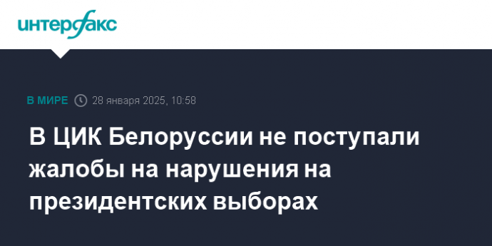 В ЦИК Белоруссии не поступали жалобы на нарушения на президентских выборах