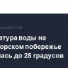 Температура воды на Черноморском побережье прогрелась до 28 градусов