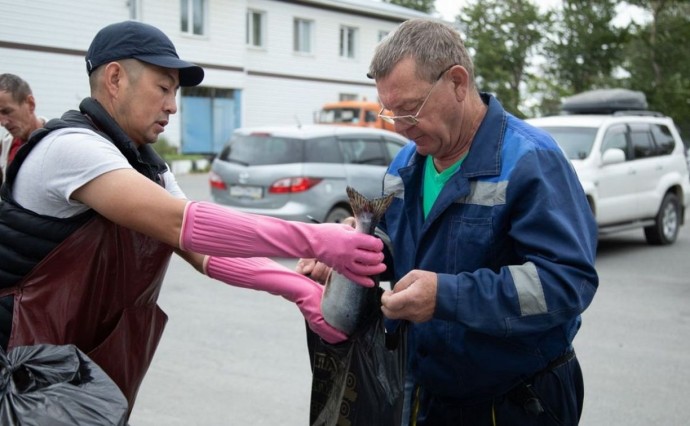 В Южно-Сахалинске с начала года продали около 280 тонн свежей рыбы по доступной цене