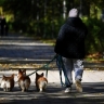 В Москве на следующей неделе температура будет выше нормы