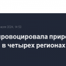 Жара спровоцировала природные пожары в четырех регионах России