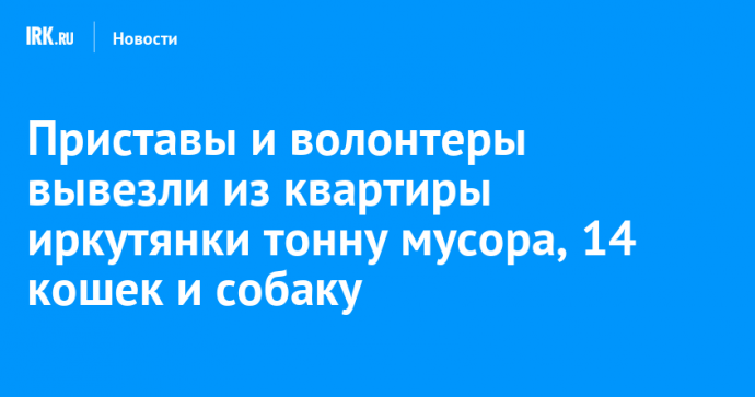 Приставы и волонтеры вывезли из квартиры иркутянки тонну мусора, 14 кошек и собаку