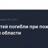 Двое детей погибли при пожаре в Курской области