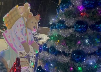 Благовещенцы за неделю устроили в своем дворе сказку