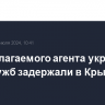 Предполагаемого агента украинских спецслужб задержали в Крыму