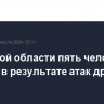 В Курской области пять человек ранены в результате атак дронов ВСУ