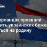 В Нидерландах призвали вынудить украинских беженцев вернуться на родину