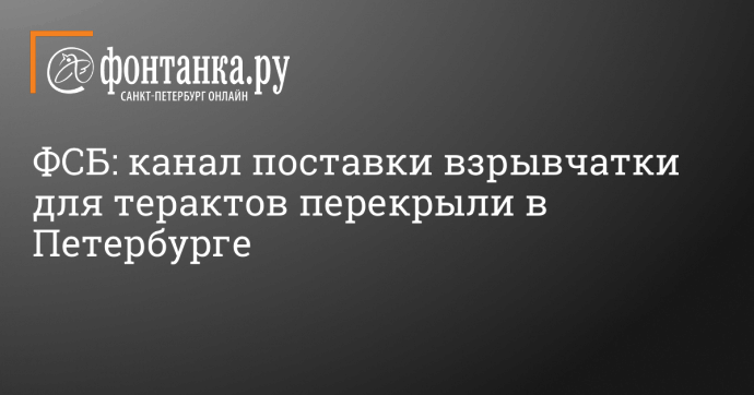 ФСБ: канал поставки взрывчатки для терактов перекрыли в Петербурге