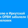 За неделю в Иркутской области ОРВИ заболели 17 тысяч человек