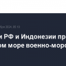 Корабли РФ и Индонезии провели в Яванском море военно-морское учение