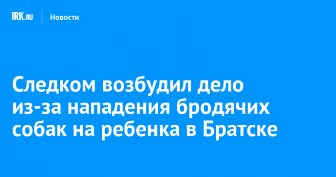 Следком возбудил дело из-за нападения бродячих собак на ребенка в Братске