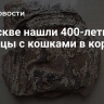 В Москве нашли 400-летние изразцы с кошками в коронах