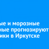 Снежные и морозные выходные прогнозируют синоптики в Иркутске