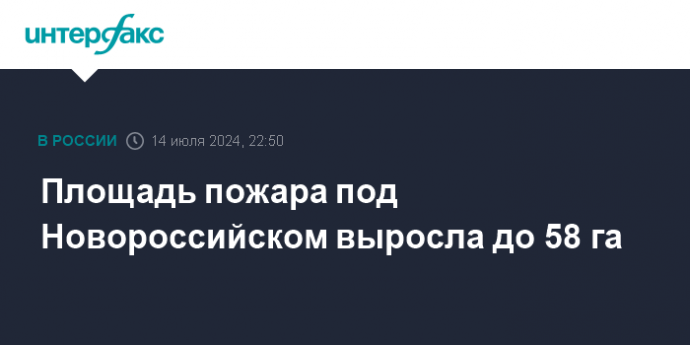 Площадь пожара под Новороссийском выросла до 58 га