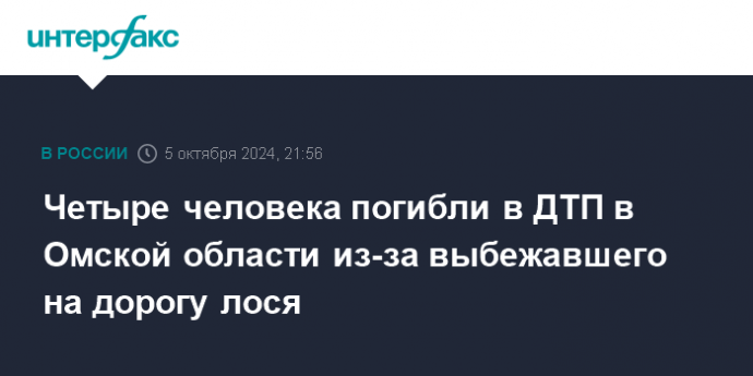 Четыре человека погибли в ДТП в Омской области из-за выбежавшего на дорогу лося