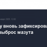 В Крыму вновь зафиксирован новый выброс мазута