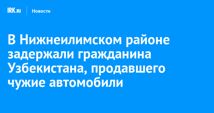 В Нижнеилимском районе задержали гражданина Узбекистана, продавшего чужие автомобили