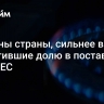 Названы страны, сильнее всех нарастившие долю в поставках газа в ЕС