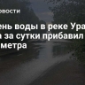 Уровень воды в реке Урал у Орска за сутки прибавил 23 сантиметра