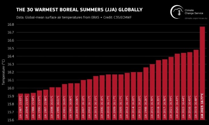Лето 2023 года стало самым жарким в мире за всю историю наблюдений