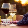 Потребление вина снижает риск развития некоторых видов рака...