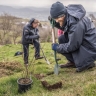 Одно из самых редких растений посадили в секретном месте