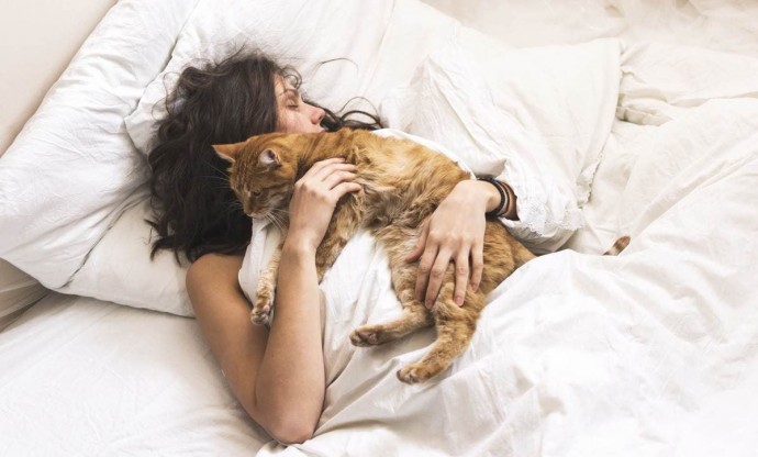 Стали известны причины, почему кошки ложатся спать рядом с человеком