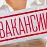 ​Названы самые востребованные профессии в 2024 году
