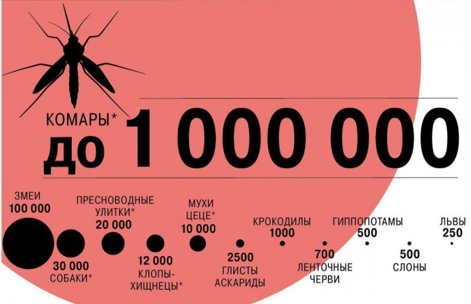 ​Комары возглавляют топ смертоносных для человека животных