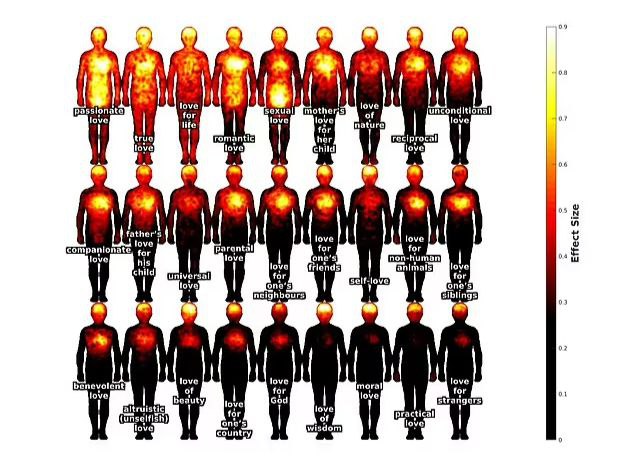 Ученые составили схему ощущения 27 видов любви