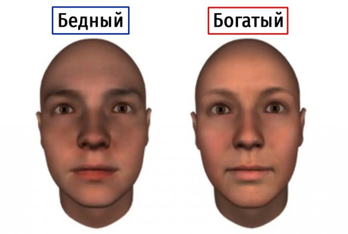 Исследование показало, что люди с узкими лицами считаются более богатыми, чем с широкими чертами лиц