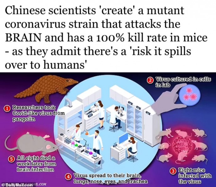 Ученые из Китая создали новый коронавирус со 100% смертностью
