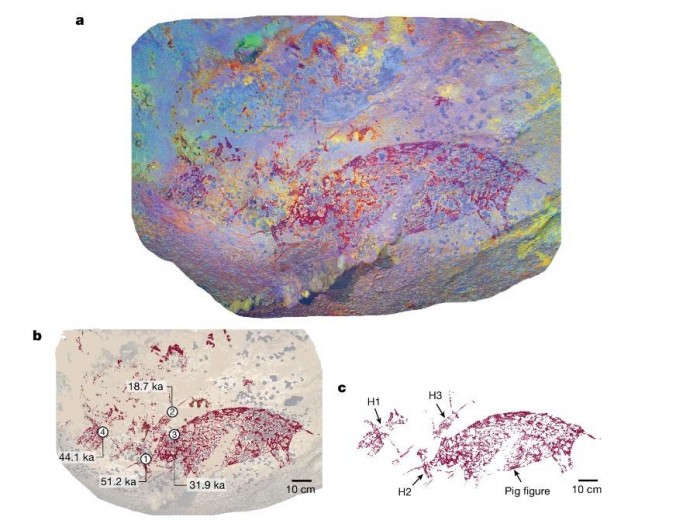 Рисунок людей и свиньи оказался древнейшей «картиной» на планете Земля