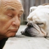 Домашние животные помогают снизить риск развития деменции...