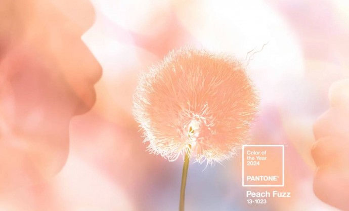 Peach Fuzz выбран главным цветом предстоящего 2024 года